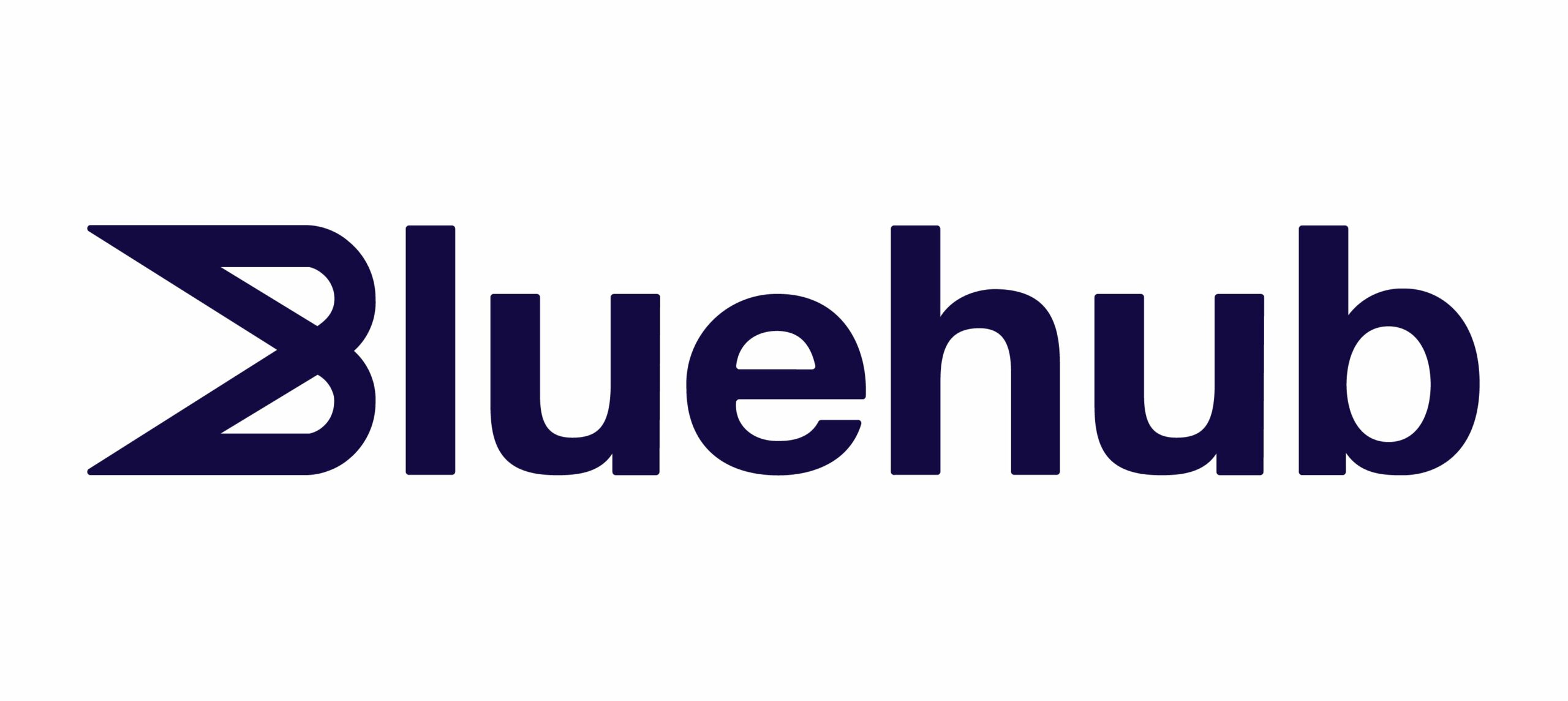 Bluehub logo